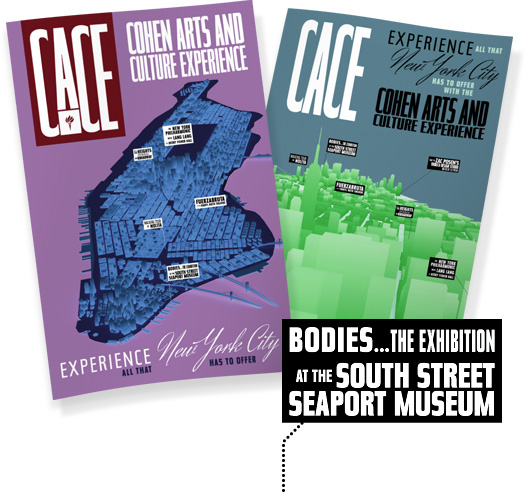 NYU Stern: CACE poster concept preview